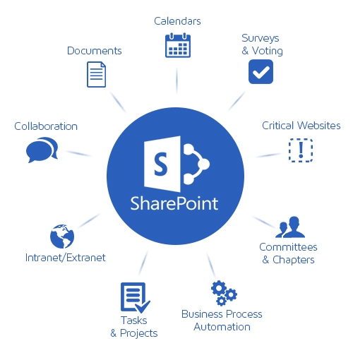 Sharepoint 365 store